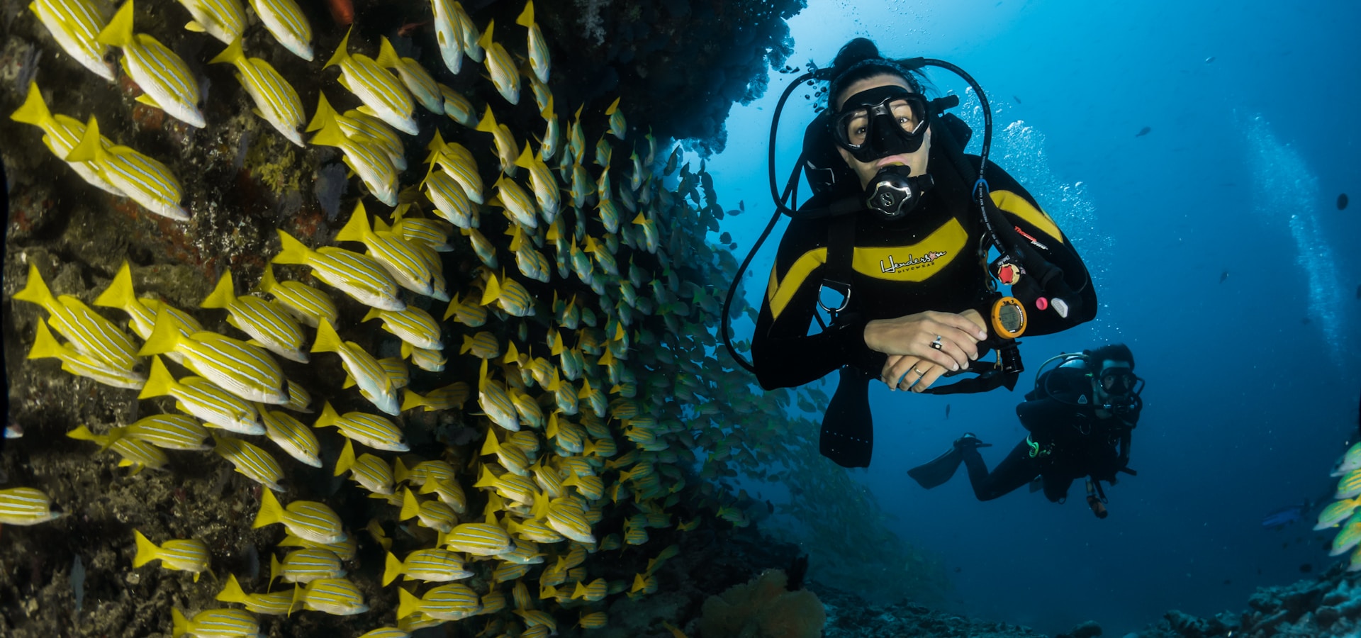 Sport nautique et plongée — univers marin | Nautelio