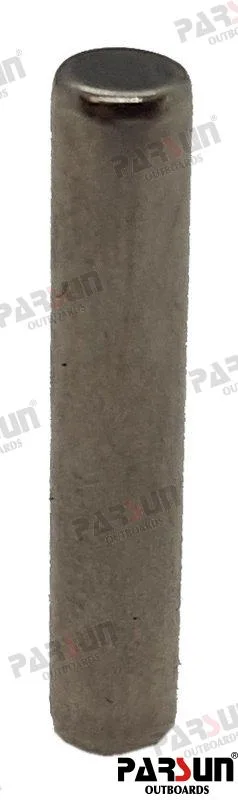 Aiguille φ4×21.8g2-2-4 Parsun – réf PAT85-06010705