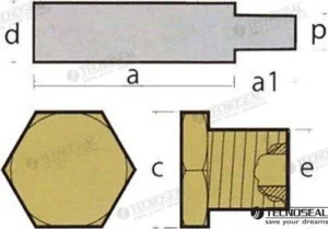Anode caterpillar avec bouchon Tecnoseal – réf TEN02029BIS/T