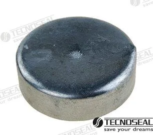 Anode disque zinc d'70mm Tecnoseal - réf TEN20101