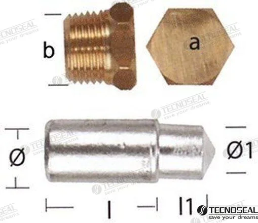 Anode Lombardini avec bouchon - réf TEN02351T
