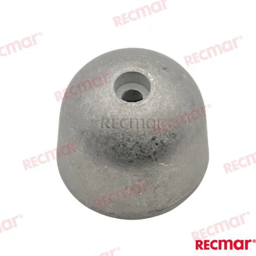 Anode sidepower 0,25 kg (zinc) Recmar - réf REC9418