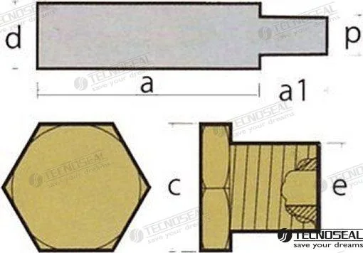 Anode vm complete Tecnoseal - réf TEN02061T