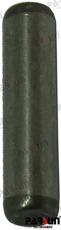 Axe de centrage 4×16,5 Parsun – réf PAF25-05130008