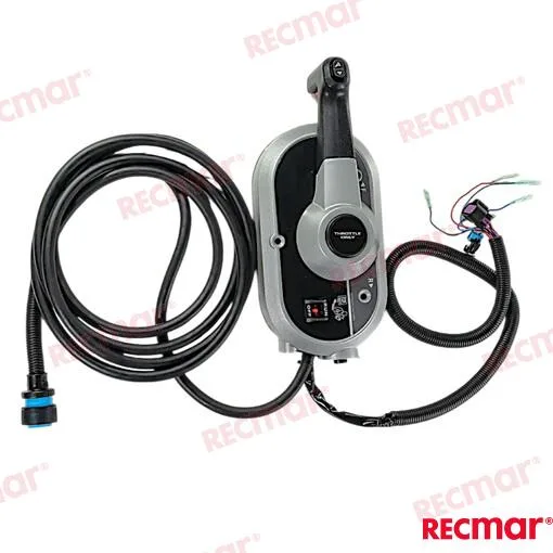 Boitier pour console single 20ft ptt Recmar - réf REC8M0176288