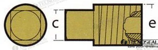 Bouchon pour caterpillar serie 2284 Tecnoseal - réf TEN02026TP