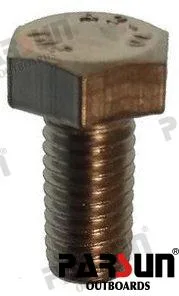 Boulon m5x10 Parsun – 97013-05010