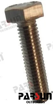 Boulon m6x25 Parsun – 97095-06025