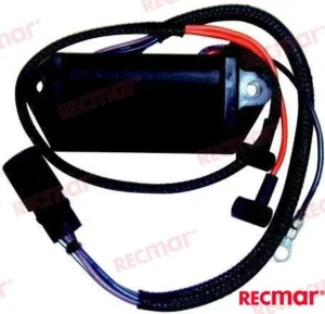Cdi johnson evinrude Recmar - 584783