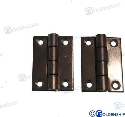 Charniere inox 40x30 (2) Goldenship - réf GS72150