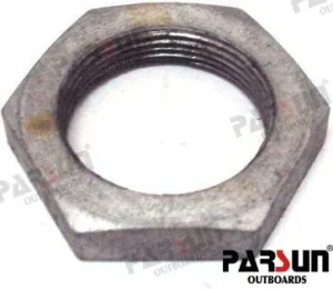 Ecrou Parsun - 3V1-10068-0