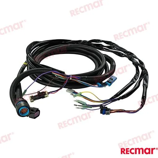 Extension harnais 20ft Recmar - réf REC896537T20