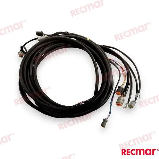 Faisceau 12ft Recmar - réf REC176339
