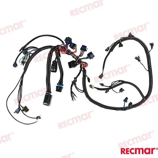 Faisceau 150hp Recmar - réf RECM0057696