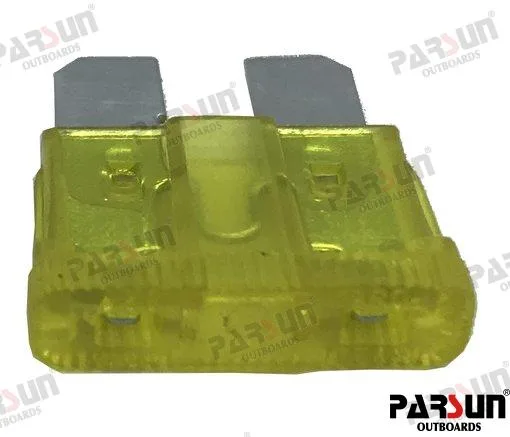 Fusible 40a Parsun - réf PAF40-05001000-1EI