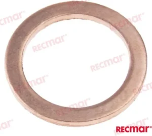 Joint Recmar - 18818