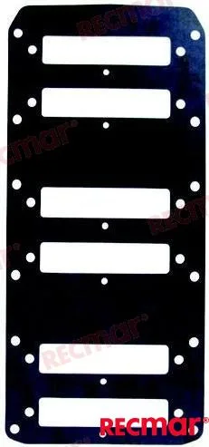Joint Recmar moteur 200 DFI - 27-850283