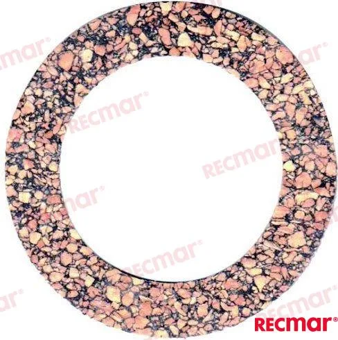 Joint Recmar - 313416