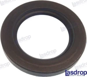Joint spi 2&Prime; Lasdrop – réf LASEX-200
