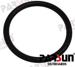 Joint torique 25.8x2.65 Parsun - 93210-22164