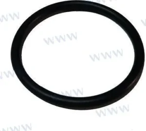 Joint torique Mercury – 25-89497