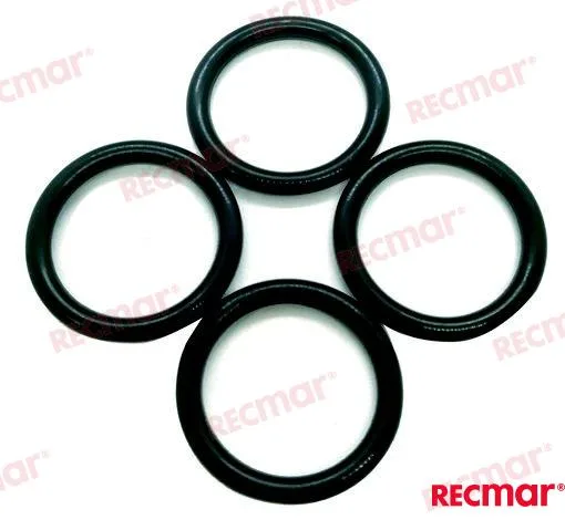 Joint torique Recmar moteur 3JH25A - 119609-32040