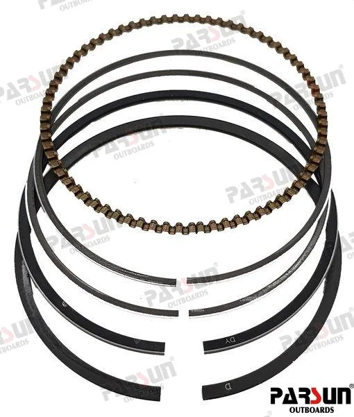 Kit de segments Parsun moteur F6AB - réf PAF6-04020002