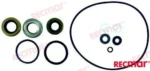 Kit joints embase johnson evinrude Recmar - réf REC87606