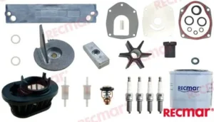 Kit maintenance mercury Recmar - réf RECKITMER115