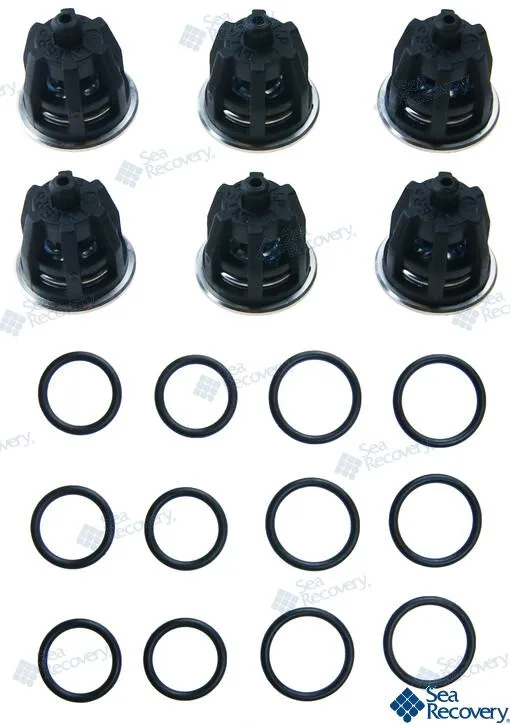 Kit de révision de valves pompe HPP 2.3 - 4.2G - Sea Recovery réf. PARB654080002