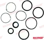 Kit réparation piston de trim Recmar - réf REC3854247