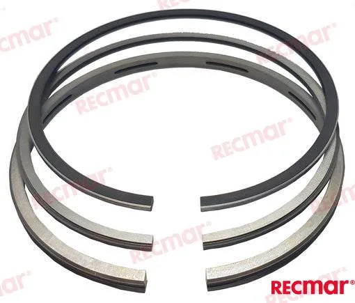 Kit segments Recmar moteur AQ105 - 275334