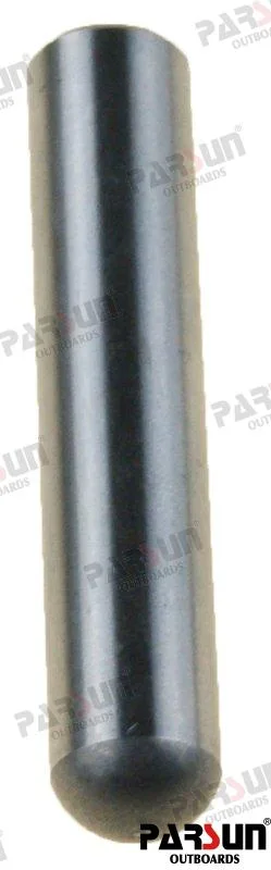 Pin Parsun - réf PAT5-03000404