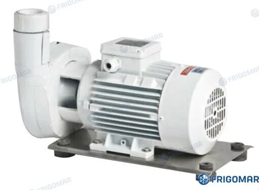 Pompe eau de mer b-c(m) 41e (1,1 KW) Frigomar - B-CM