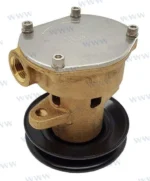 Pompe eau de mer kohler Sherwood - GM46936