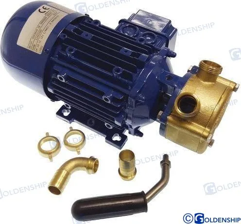 Pompe électrique en bronze 12 V 53 l/min, réversible, eau douce, eau de mer, diesel - Liverani réf. GS20222