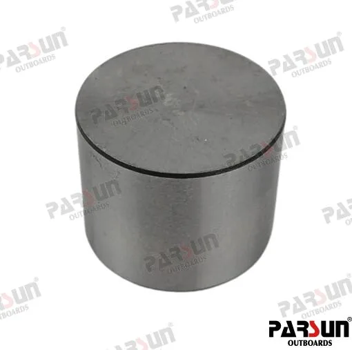 Poussoir 5,02mm Parsun - réf PAF115-05030006-502