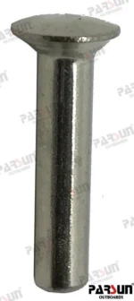 Rivet Parsun - réf PAF25-01010103