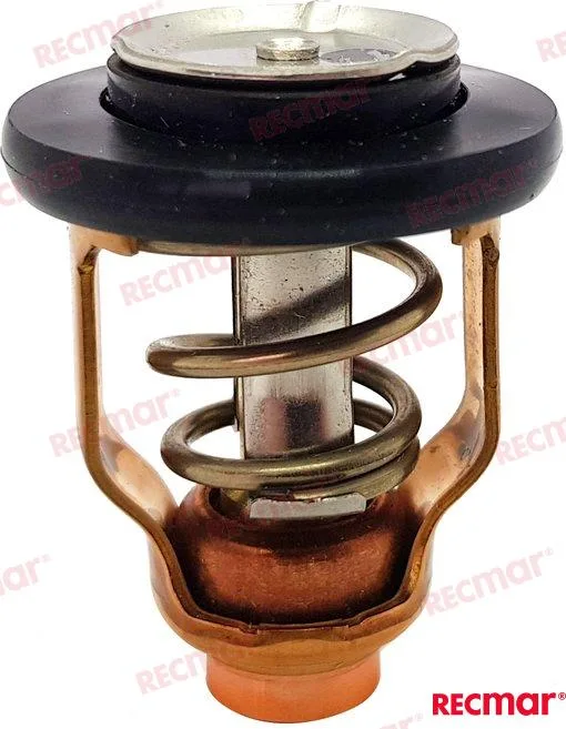 Thermostat 71º Recmar moteur DF100A - 1770-90J10