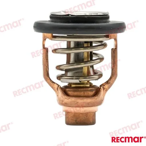Thermostat Yamaha 60ºc Recmar - 6DA-12411-01