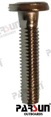 Vis avec meplat Parsun – réf PAF25-06000007