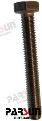 Vis frein Parsun – réf PAGB/T6563-M6X45