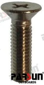 Vis m5x18 Parsun - réf PAGB/T819.2-M5X18