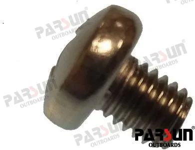 Vis m5x6 Parsun - réf PAGB/T818-M5X6