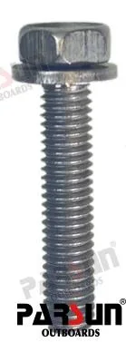 Vis m6x30 Parsun - réf PAT3.6-04000017
