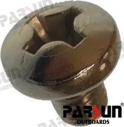 Vis m8x10 Parsun – réf PAGB/T818-M8X10