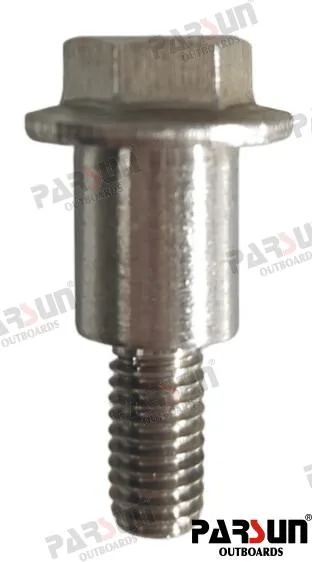 Vis Parsun moteur FL115 EFI - réf PAF115-02010006