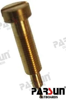 Vis Parsun – réf PAF6-04060011
